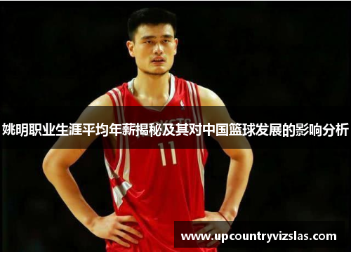 姚明职业生涯平均年薪揭秘及其对中国篮球发展的影响分析