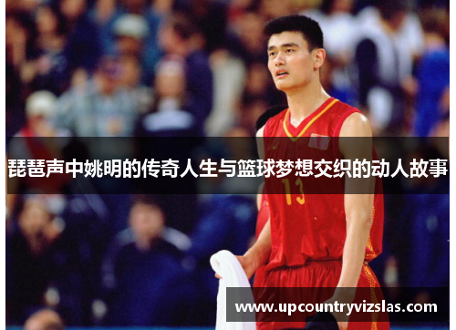 琵琶声中姚明的传奇人生与篮球梦想交织的动人故事